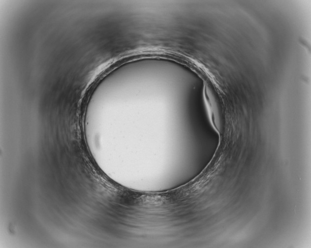 X0000096981168200802221427