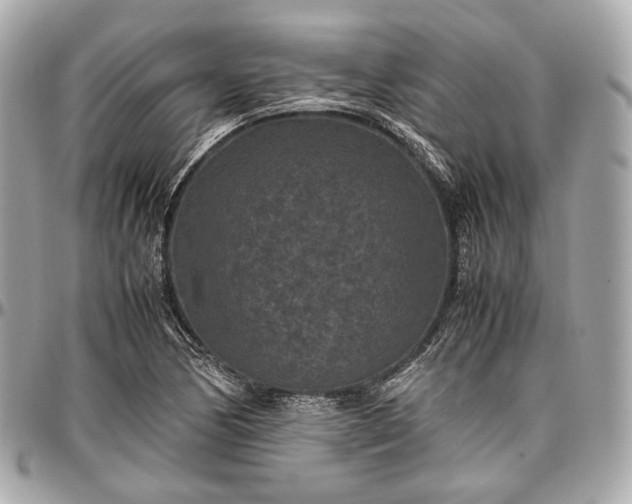 X0000096981170200802221427