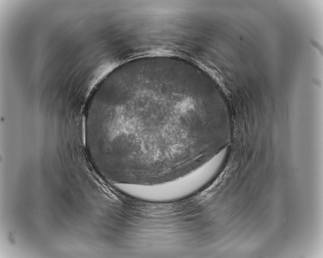 X0000096981171200802221427