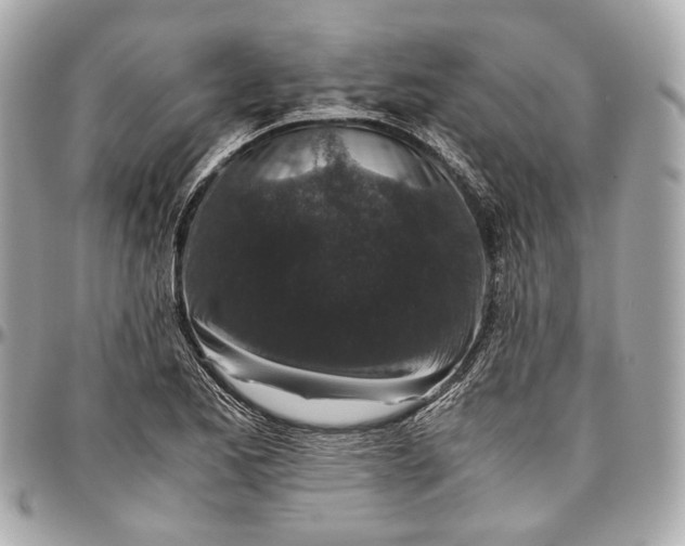 X0000096981173200802221427