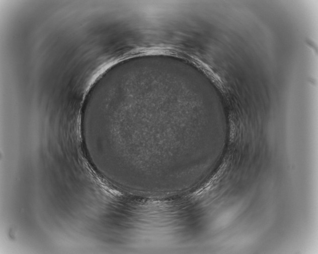 X0000096981174200802221427