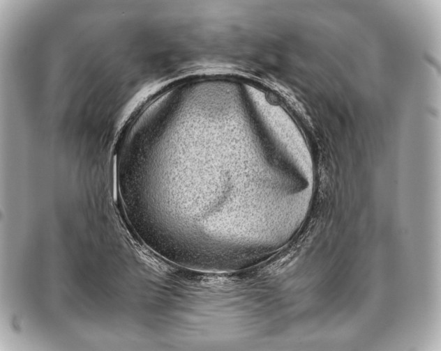 X0000096981175200802221427