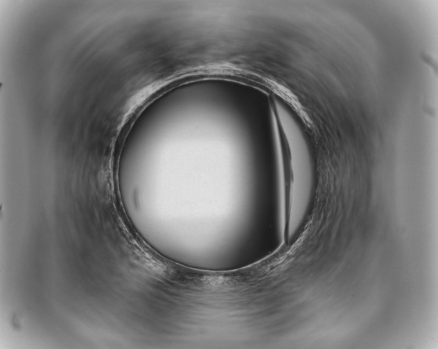 X0000096981176200802221427