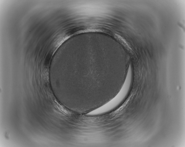 X0000096981177200802221427