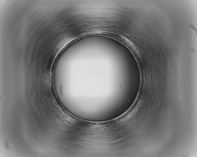 X0000096981178200802221427