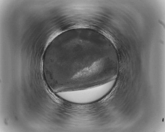 X0000096981179200802221427