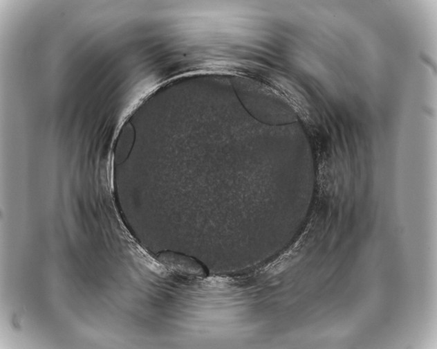 X0000096981180200802221427