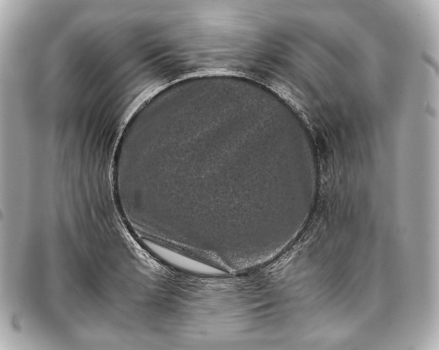 X0000096981181200802221427