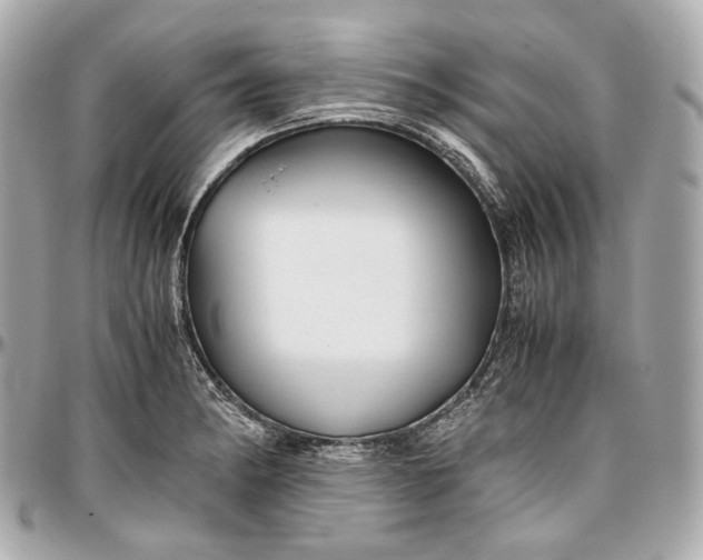 X0000096981182200802221427