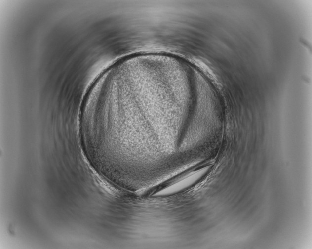 X0000096981183200802221427