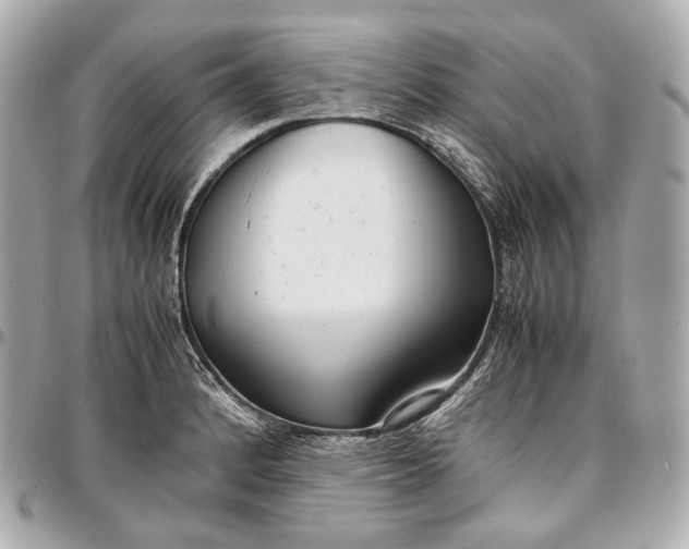 X0000096981184200802221427