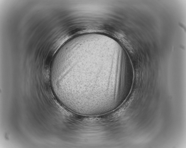 X0000096981185200802221427