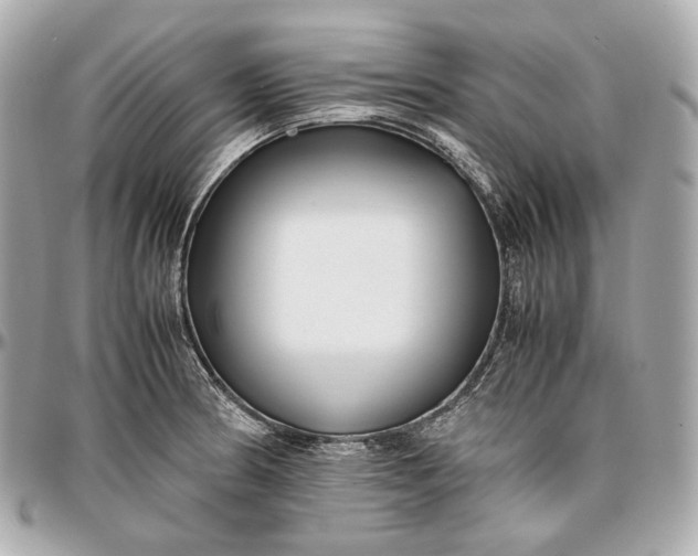 X0000096981186200802221427