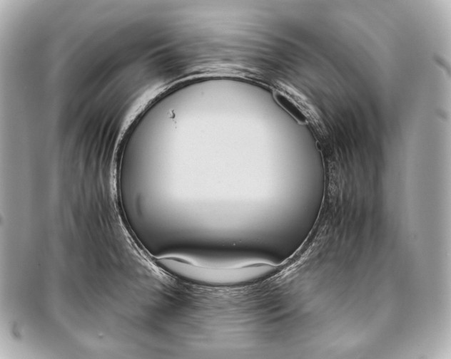 X0000096981188200802221427