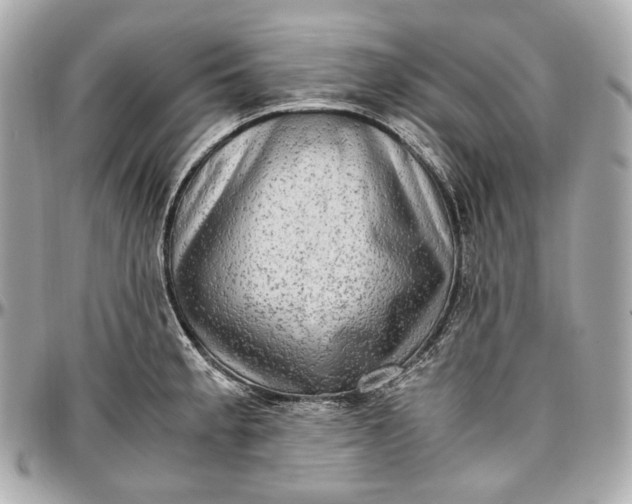 X0000096981189200802221427