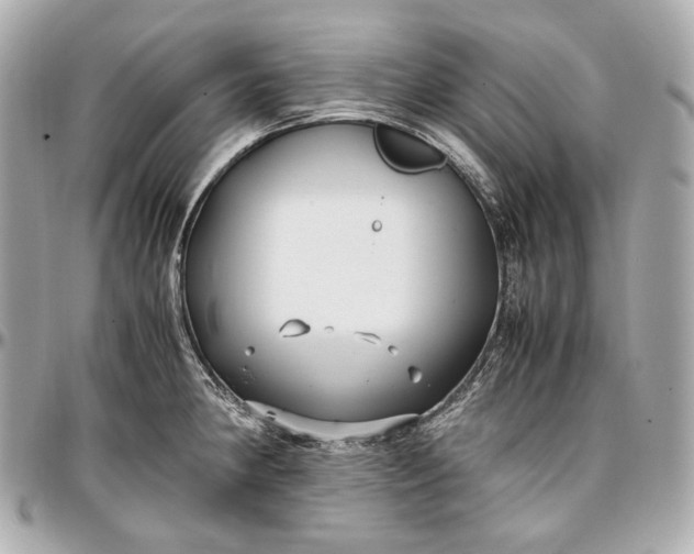 X0000096981190200802221427