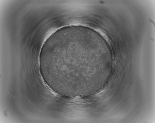 X0000096981191200802221427