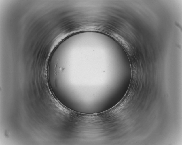 X0000096981192200802221427