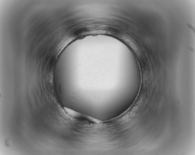 X0000096981193200802221427