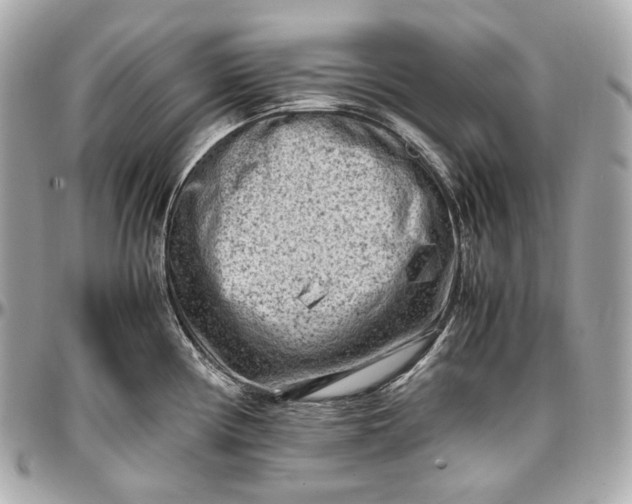 X0000096981194200802221427