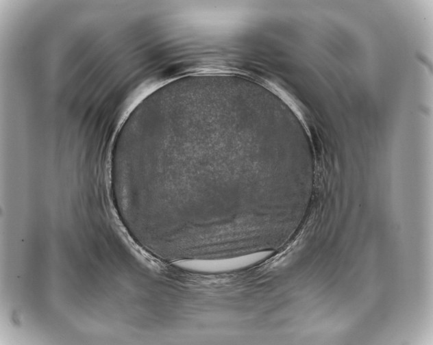 X0000096981195200802221427