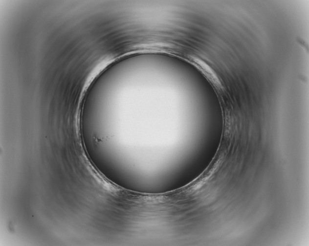 X0000096981196200802221427