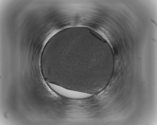 X0000096981197200802221427