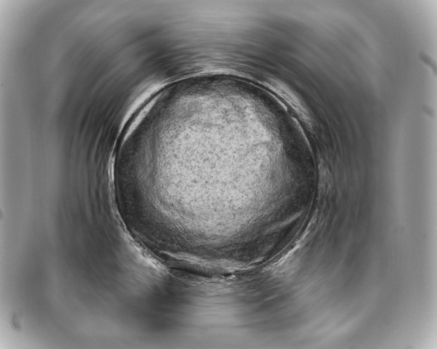 X0000096981198200802221427