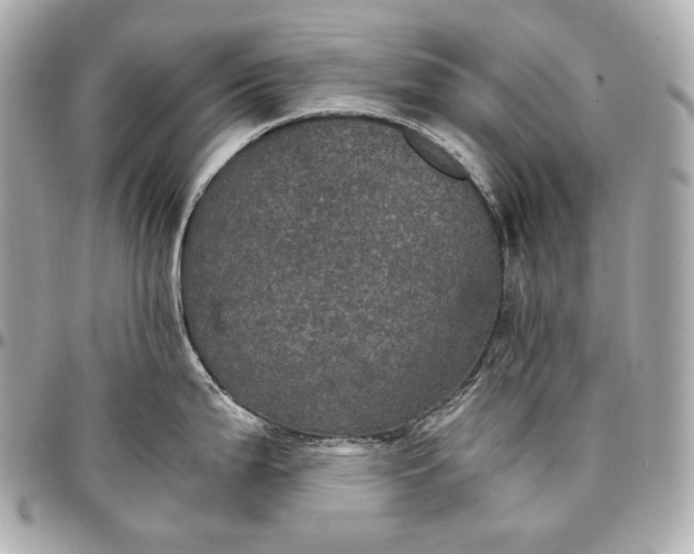 X0000096981199200802221427