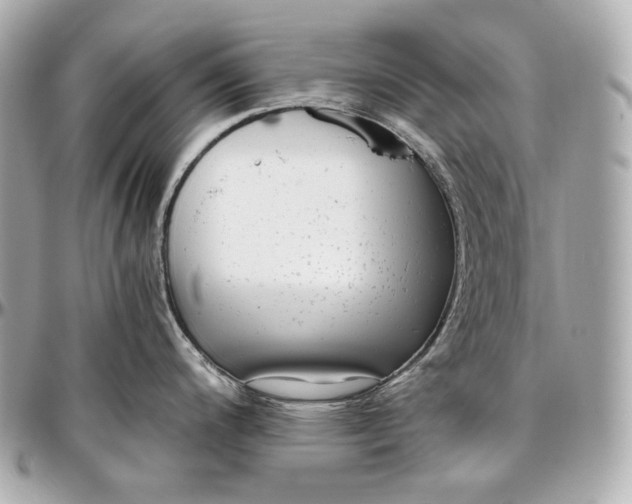 X0000096981200200802221427