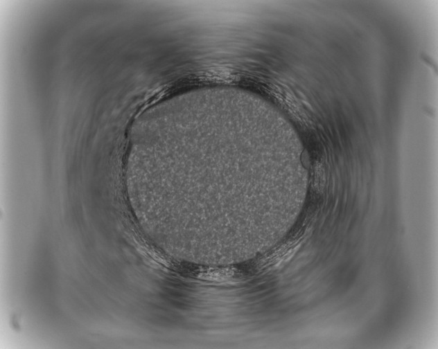 X0000096981201200802221426