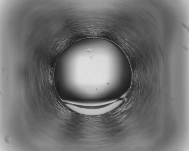 X0000096981202200802221426