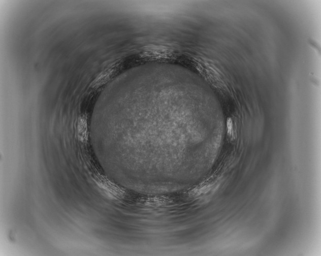 X0000096981203200802221426