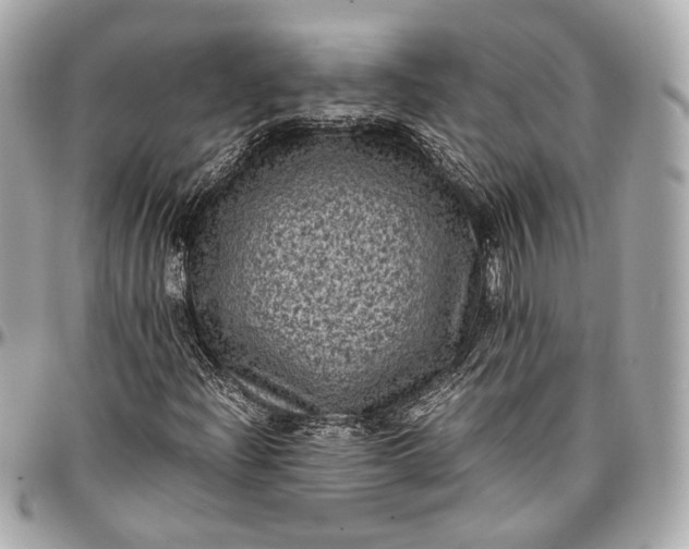 X0000096981204200802221426