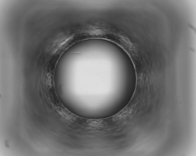 X0000096981205200802221426