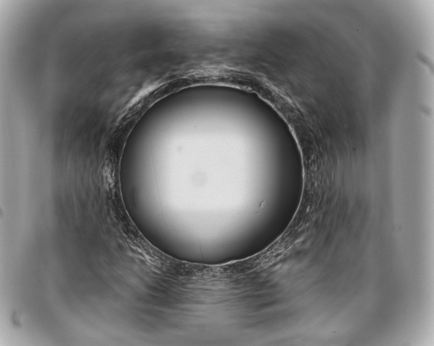 X0000096981206200802221426