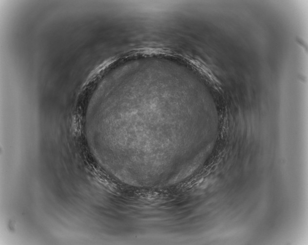 X0000096981207200802221426