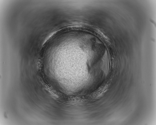 X0000096981208200802221426