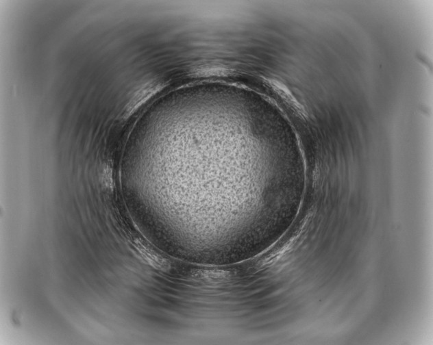 X0000096981209200802221426