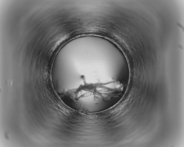 X0000096981210200802221426