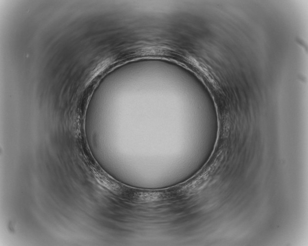 X0000096981211200802221426