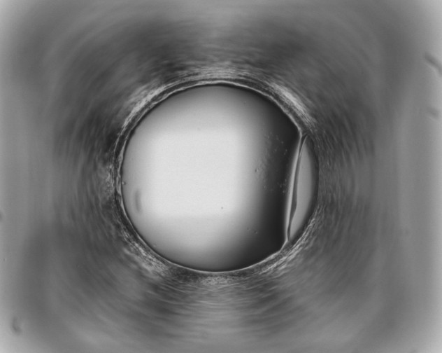 X0000096981212200802221426