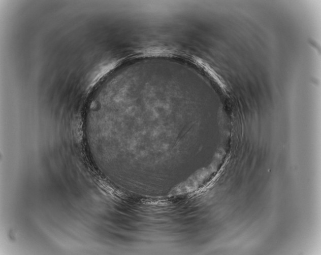 X0000096981213200802221426