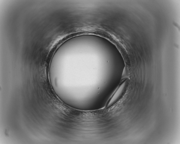 X0000096981214200802221426