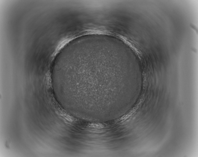 X0000096981215200802221426