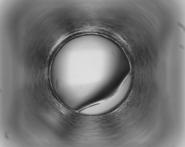 X0000096981216200802221426