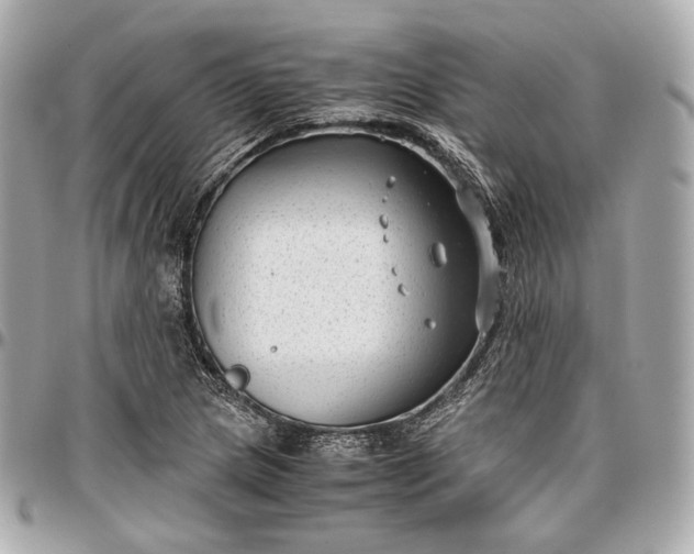 X0000096981217200802221426