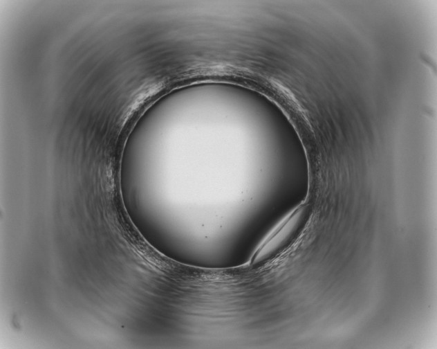 X0000096981218200802221426