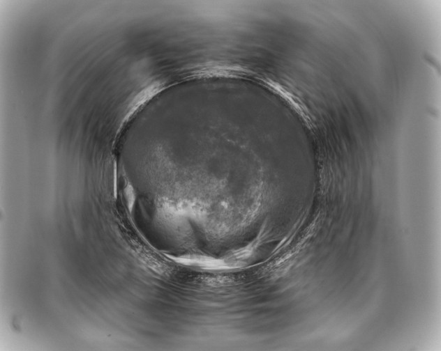 X0000096981219200802221426