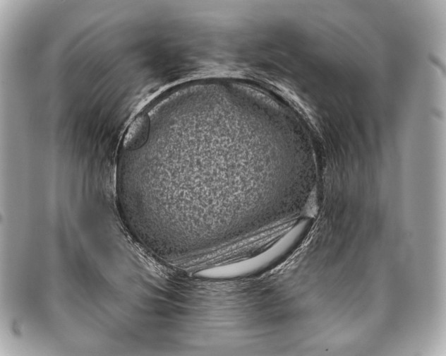 X0000096981220200802221426